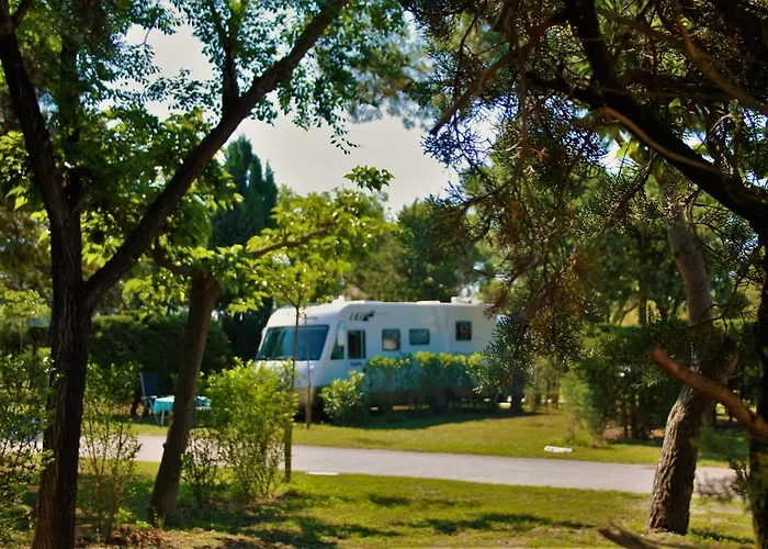 Camping Rodas *