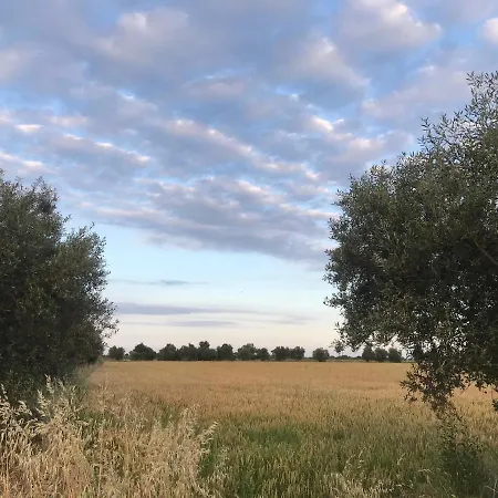 Campingplatz Rodas
